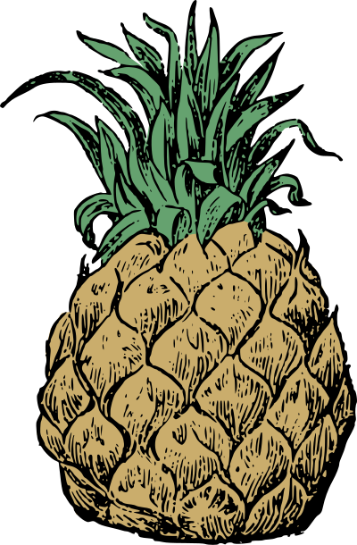 Basic Pineapple clipart