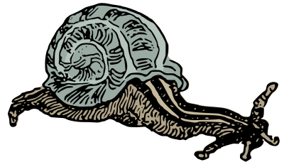Basic Snail - Colour Remix clipart