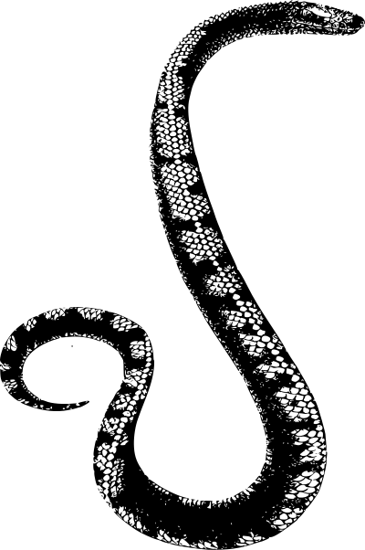 Basic Snake clipart