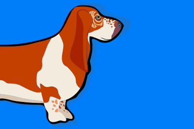 Basset Hound clipart