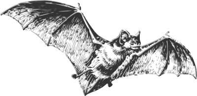 Bat clipart