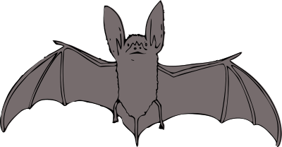 Bat clipart