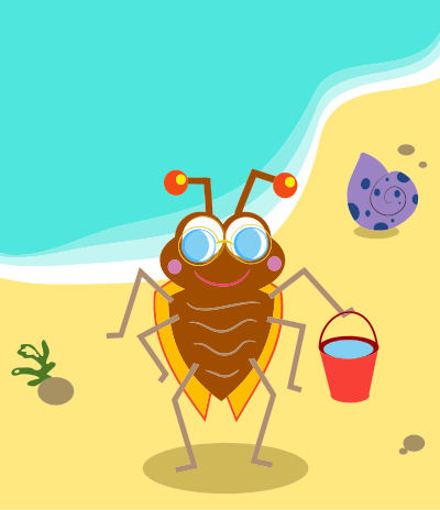 Beach Bug clipart