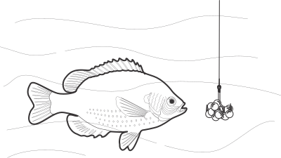 Beaded Fish Bait clipart