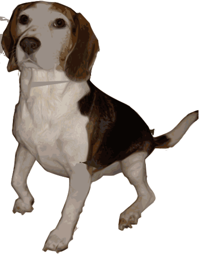 Beagle Medium Version clipart