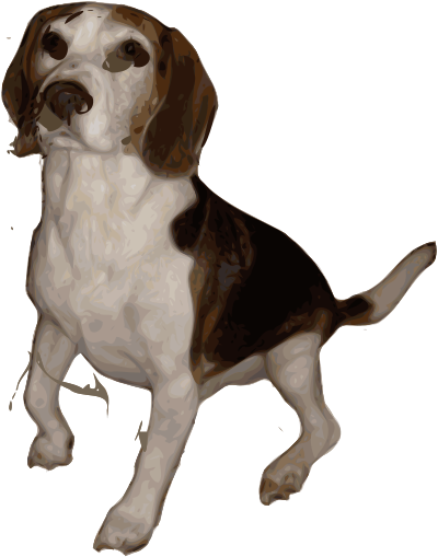 Beagle Small Version clipart