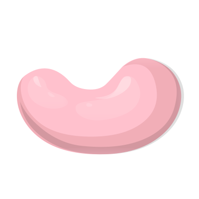 Bean Fruit clipart