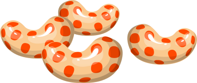 Bean Spice clipart