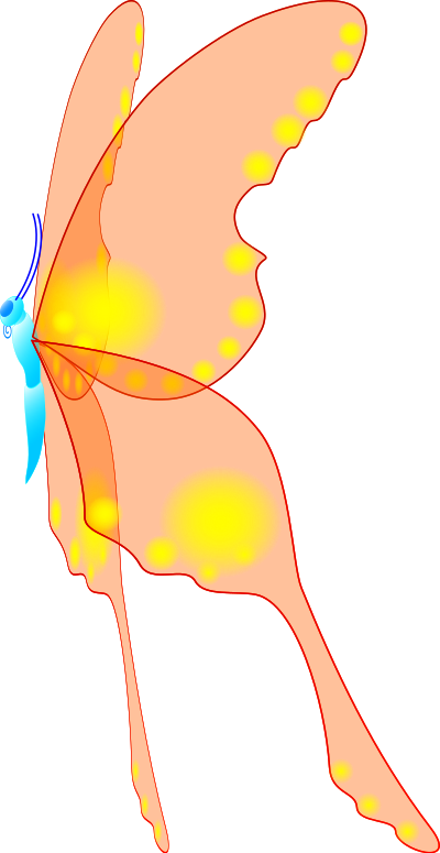 Beautiful butterfly clipart