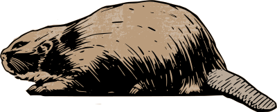 Beaver clipart