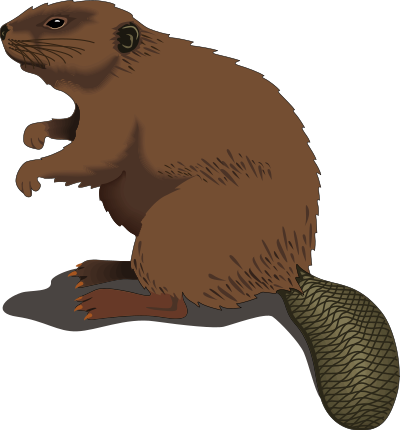 Beaver clipart