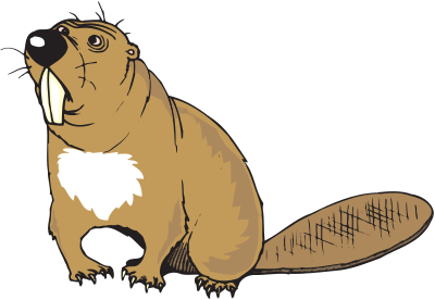 Beaver (#4) clipart
