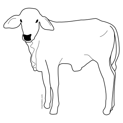 Becerro clipart