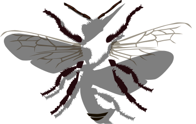 Bee clipart