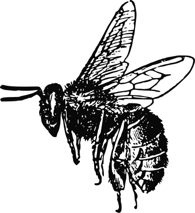 Bee clipart