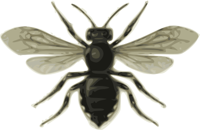 bee (Mélecle ponctuée) clipart