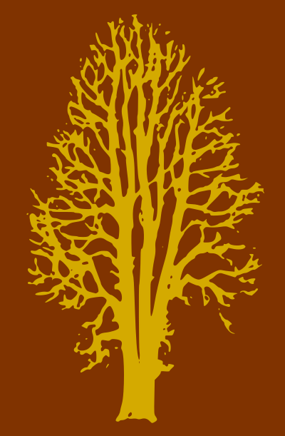 Beech Tree - 2 Colours clipart