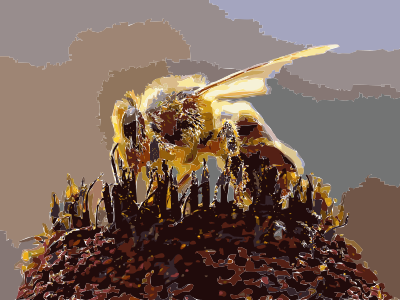 Bees Collecting Pollen 2004-08-14 clipart
