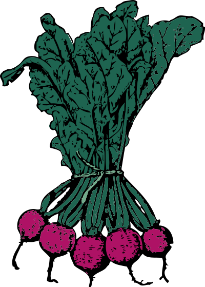 Beets clipart