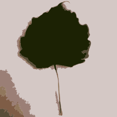 Beijing Fall Caochangdi Leaf clipart
