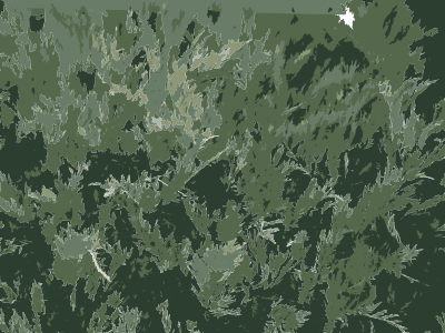 Beijing Green Bushes clipart