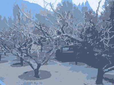 Beijing Old Trees clipart