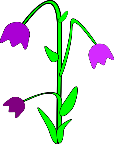 Bell-flower clipart