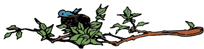Bird's nest clipart