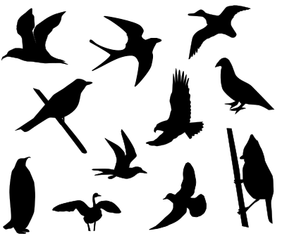 Birds Silhouette clipart