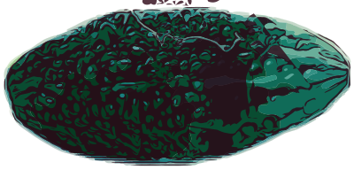 Bitter Melon clipart