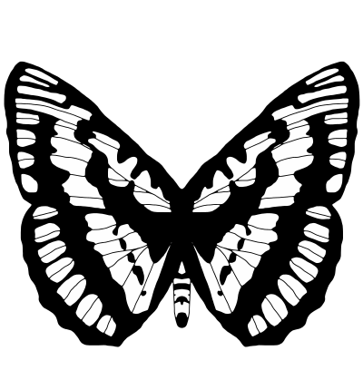 Black And White Butterfly 2 clipart