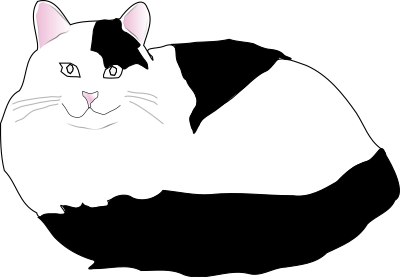 Black and White Fluffy Cat clipart