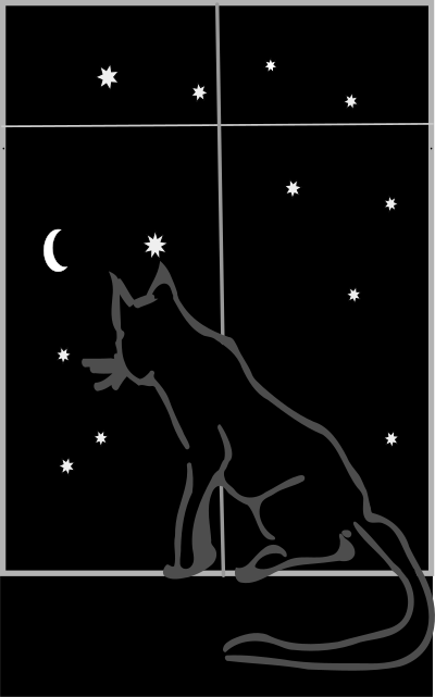 Black cat sitting by the window at night clipart