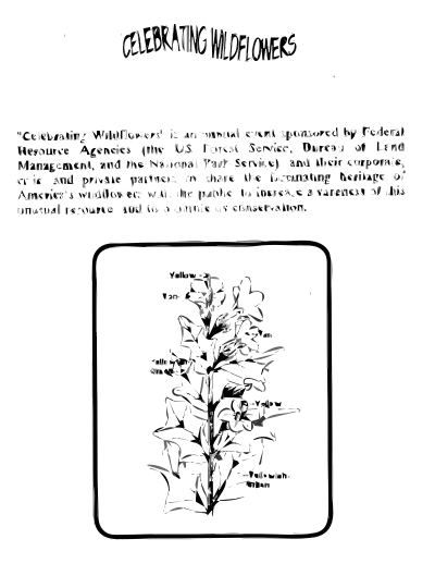 Black Henbane Coloring Guide clipart
