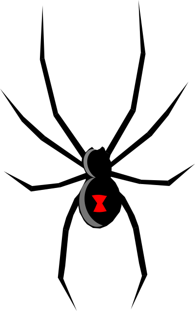 Black widow clipart