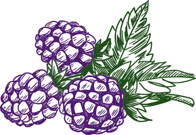 Blackberry 2 clipart