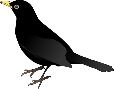 Blackbird clipart