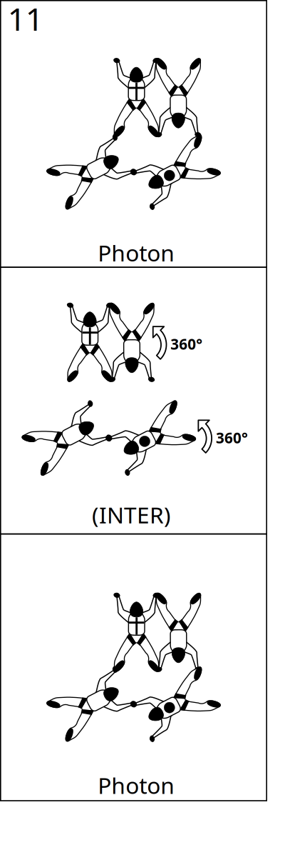 Bloc 11 - Vol relatif à 4, Block 11 - Formation Skydiving 4-Way clipart