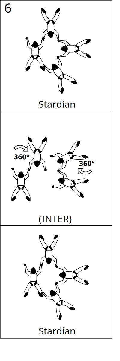 Bloc 6 - Vol relatif à 4, Block 6 - Formation Skydiving 4-Way clipart