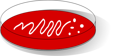 Blood Agar Plate with colonies clipart