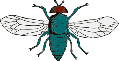 Blue bottle fly clipart