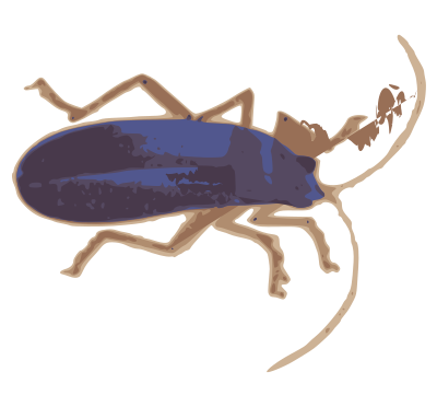 Blue Bug clipart