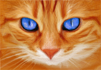 Blue Eyed Cat clipart