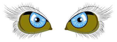 Blue Eyes clipart