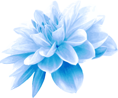 Blue flower clipart