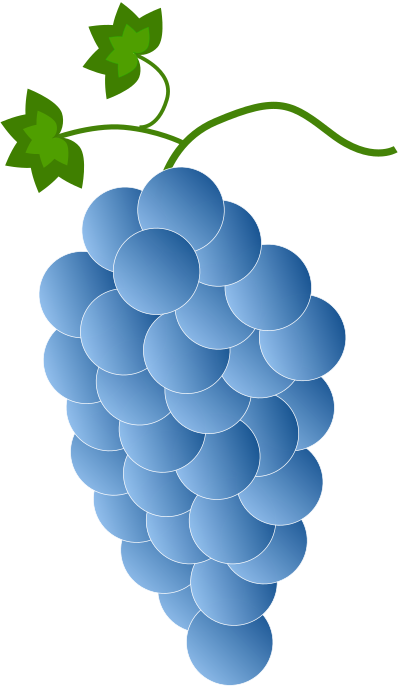 Blue grapes clipart