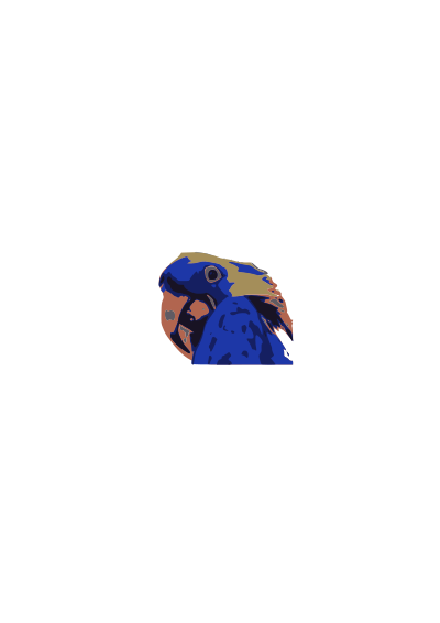 Blue Macaw clipart