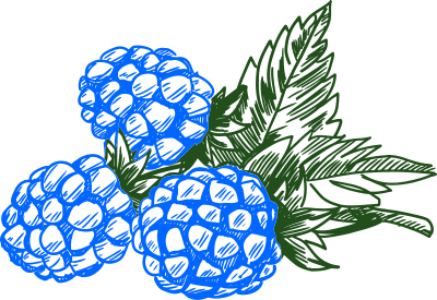 Blue Raspberry clipart