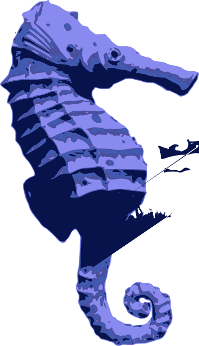 Blue Seahorse clipart