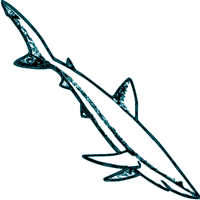 Blue Shark clipart